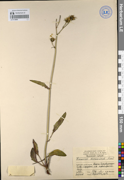 LE 01139809