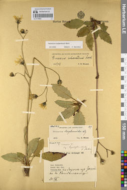 LE 01139902