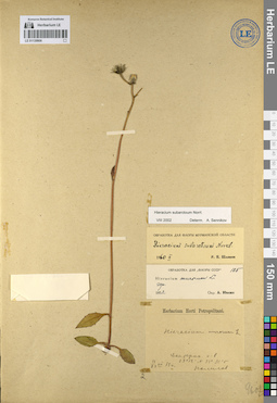 LE 01139906