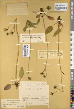 LE 01140015