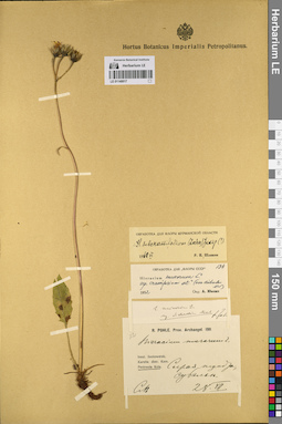 LE 01140017