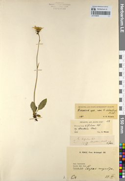 LE 01140076