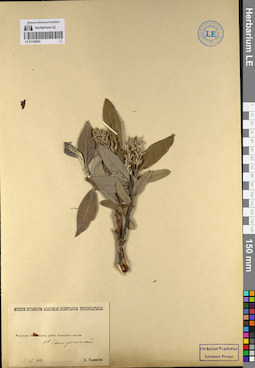LE 01142650