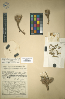LE 01024719
