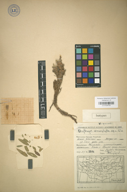 LE 01024720