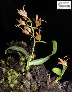 LE 01122921