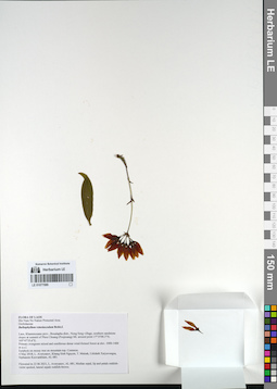 LE 01077089