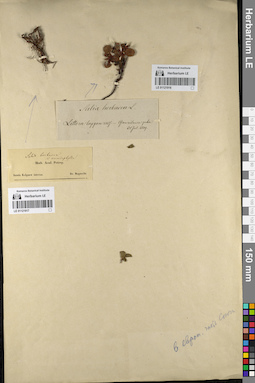 LE 01121917