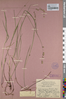 LE 01129792