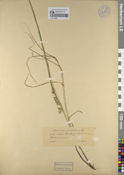 LE 01129801