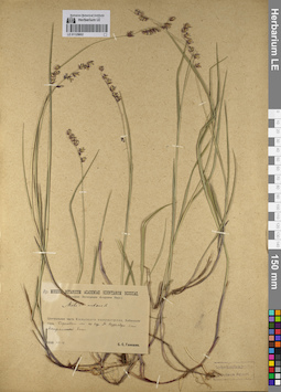 LE 01129802
