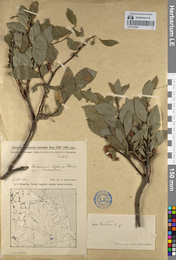 LE 01141458