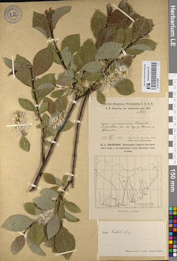 LE 01141469