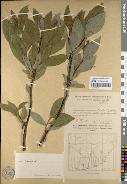LE 01141470