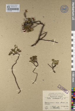 LE 01141496