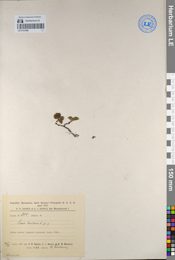 LE 01141508