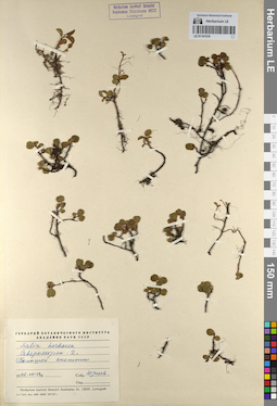 LE 01141519