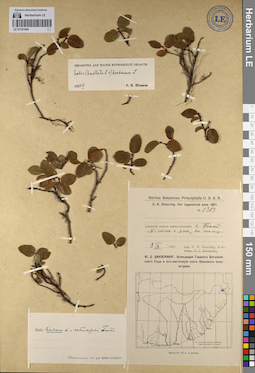 LE 01141544