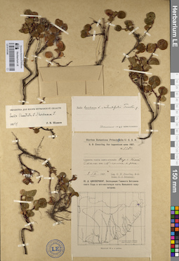 LE 01141546