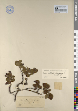 LE 01141552