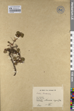LE 01141581