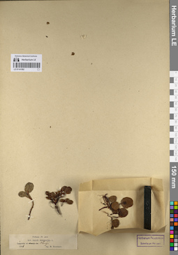 LE 01141592