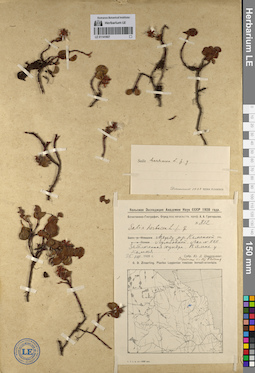 LE 01141607