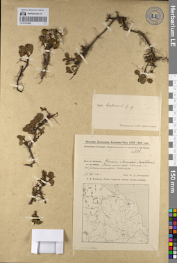 LE 01141608