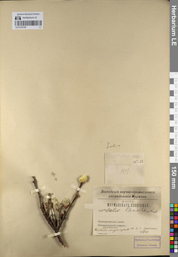 LE 01141726