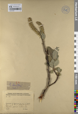 LE 01141793