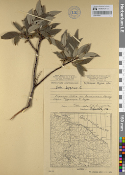 LE 01141836