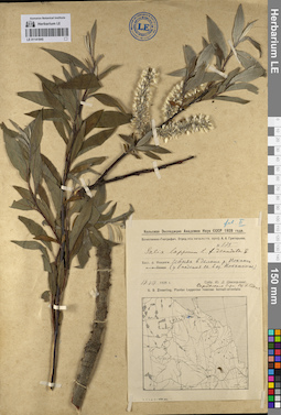 LE 01141845