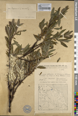 LE 01141851