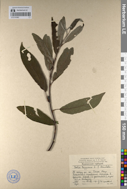 LE 01141862