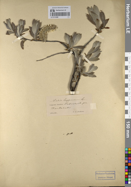 LE 01141889
