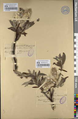 LE 01141894