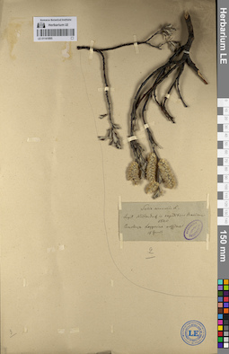 LE 01141895