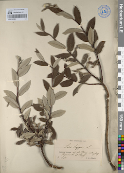 LE 01141896