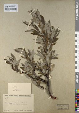 LE 01141902