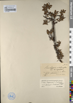 LE 01141929