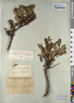 LE 01141930