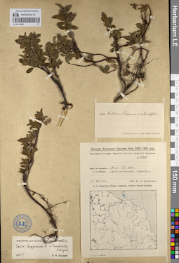 LE 01141933
