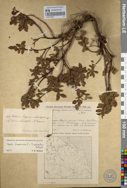 LE 01141935