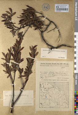LE 01141937