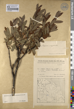 LE 01141938