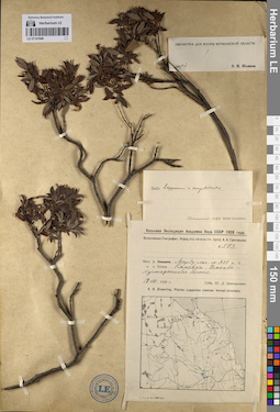 LE 01141948