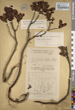 LE 01141949