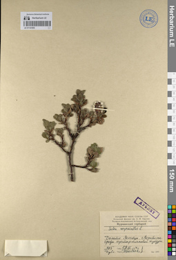 LE 01141953