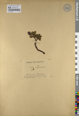 LE 01141967
