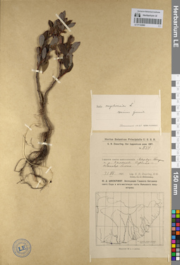 LE 01142065